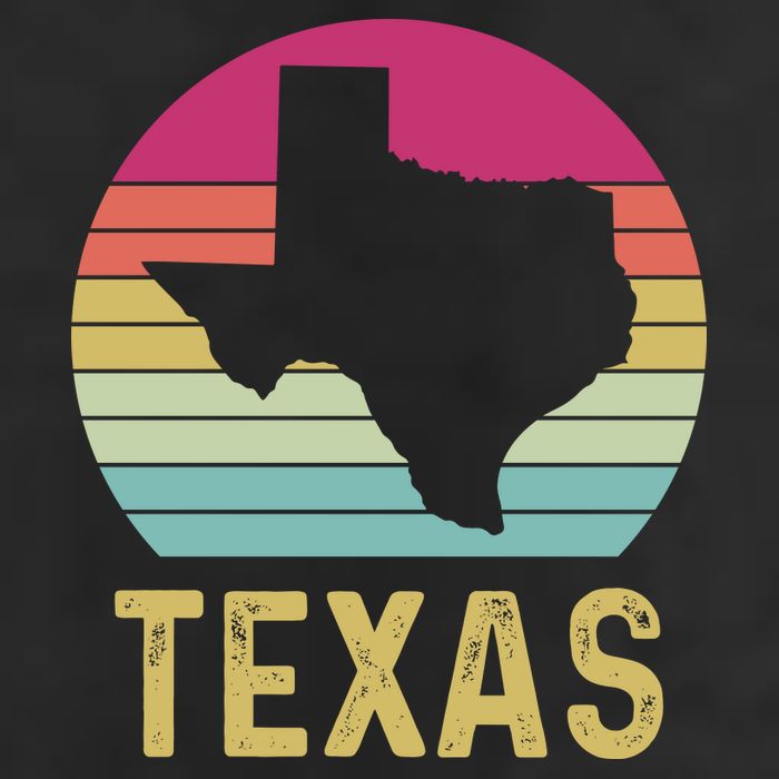 Texas Retro Logo Art Cool Comfort Performance Bucket Hat