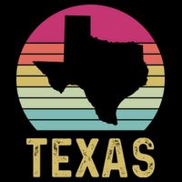 Texas Retro Logo Art Bag
