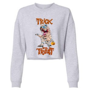 T Rex Mummy Pumpkin Trick Or Treat Funny Halloween Dinosaur Gift Cropped Pullover Crew