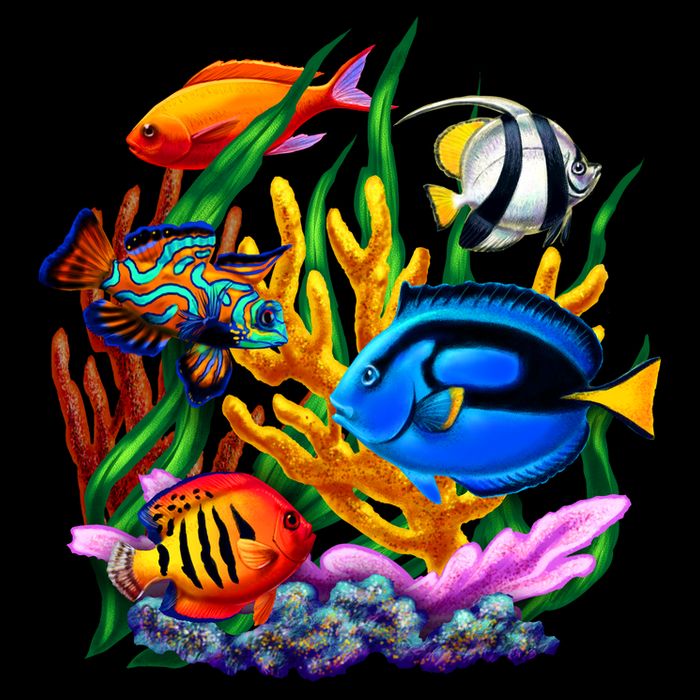Tropical Fish Sustainable Bucket Hat