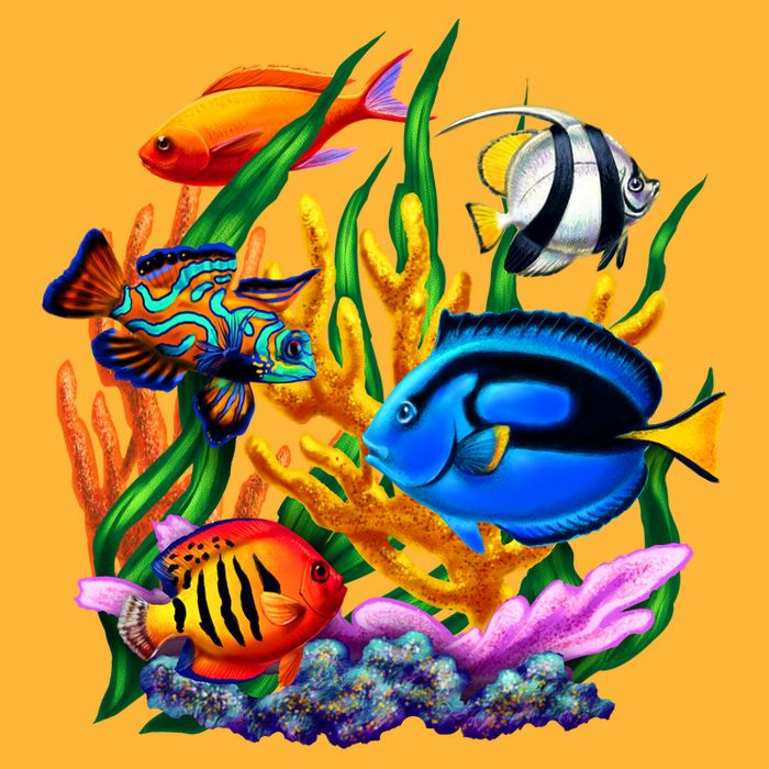 Tropical Fish T-Shirt