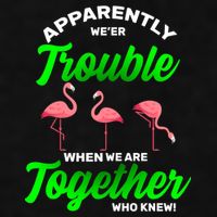 Trouble Flamingo When We Are Together Who Knew Ladies PosiCharge Tri-Blend Wicking Tank