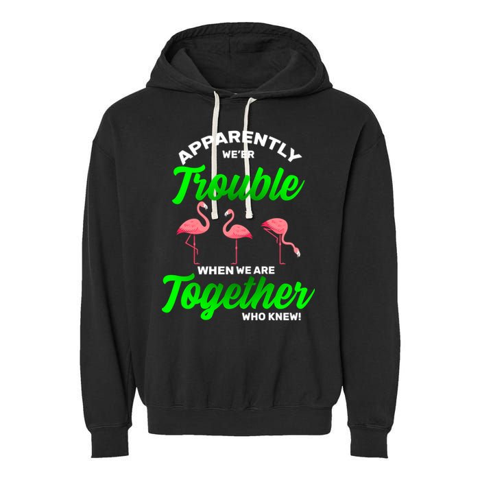 Trouble Flamingo When We Are Together Who Knew Garment-Dyed Fleece Hoodie