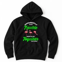Trouble Flamingo When We Are Together Who Knew Hoodie