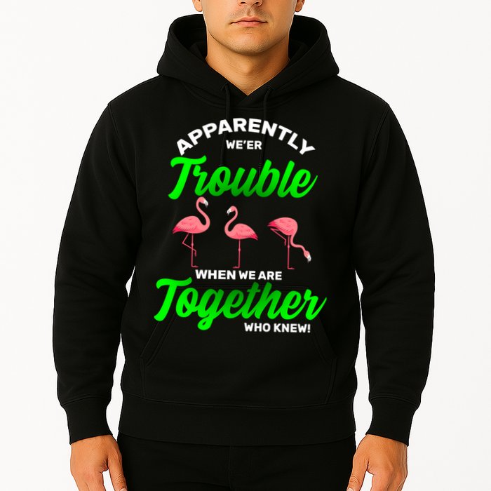 Trouble Flamingo When We Are Together Who Knew Hoodie
