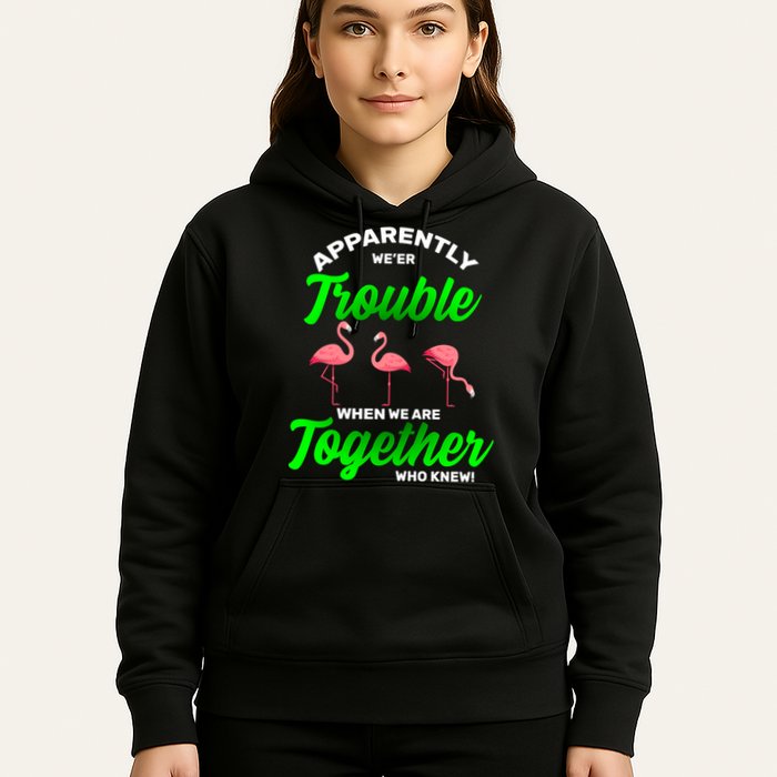 Trouble Flamingo When We Are Together Who Knew Hoodie