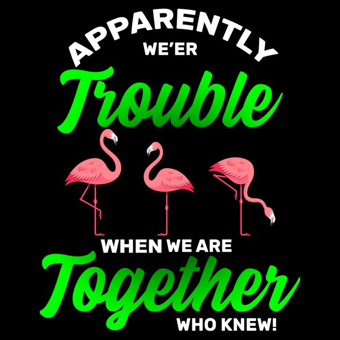 Trouble Flamingo When We Are Together Who Knew Apron