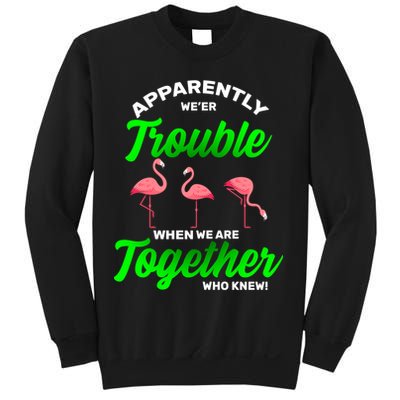 Trouble Flamingo When We Are Together Who Knew Sweatshirt