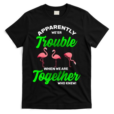 Trouble Flamingo When We Are Together Who Knew T-Shirt