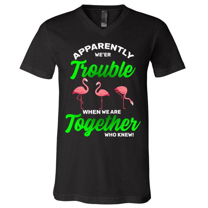 Trouble Flamingo When We Are Together Who Knew V-Neck T-Shirt