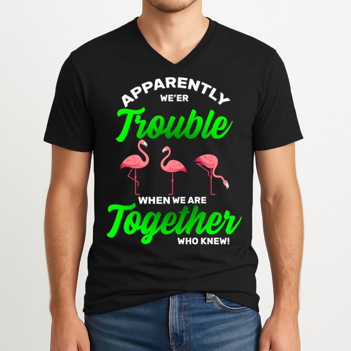 Trouble Flamingo When We Are Together Who Knew V-Neck T-Shirt