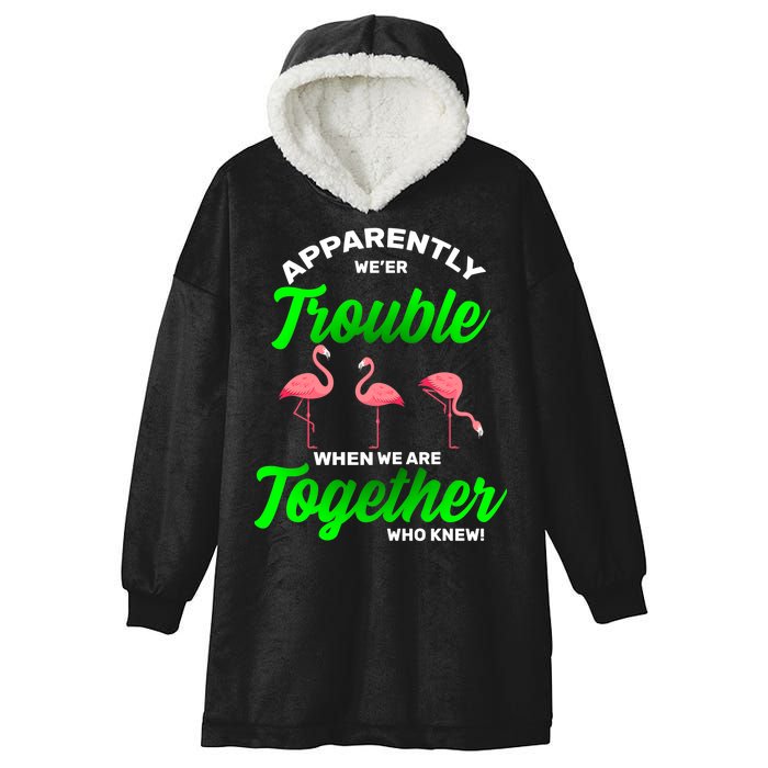 Trouble Flamingo When We Are Together Who Knew Hooded Wearable Blanket