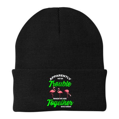 Trouble Flamingo When We Are Together Who Knew Beanie