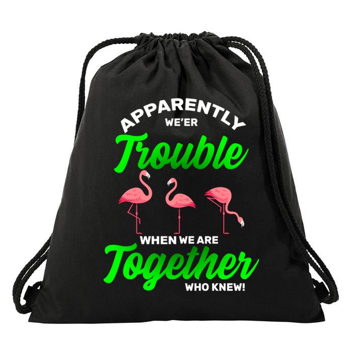 Trouble Flamingo When We Are Together Who Knew Drawstring Bag