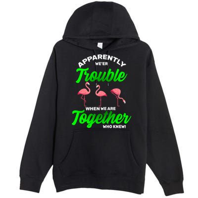 Trouble Flamingo When We Are Together Who Knew Premium Pullover Hoodie