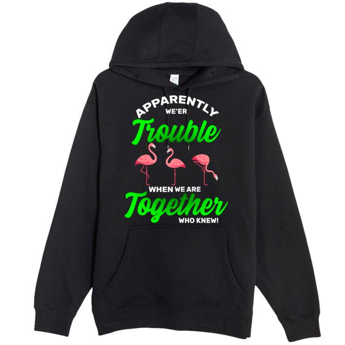 Trouble Flamingo When We Are Together Who Knew Premium Pullover Hoodie