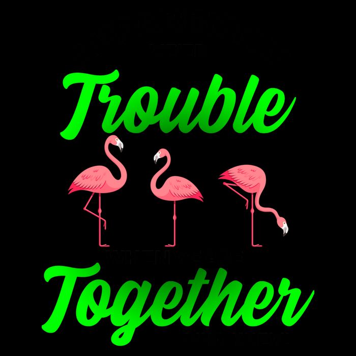 Trouble Flamingo When We Are Together Who Knew 16oz Travel Tumbler