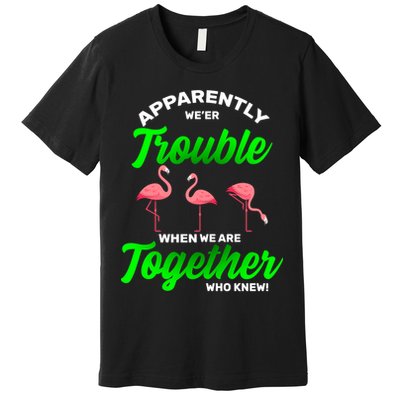 Trouble Flamingo When We Are Together Who Knew Premium T-Shirt