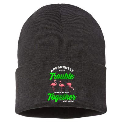 Trouble Flamingo When We Are Together Who Knew Sustainable Knit Beanie