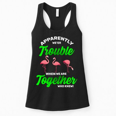 Trouble Flamingo When We Are Together Who Knew Womens Tank Top