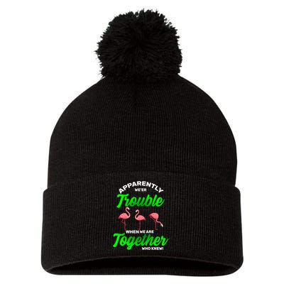 Trouble Flamingo When We Are Together Who Knew Pom Pom 12in Knit Beanie