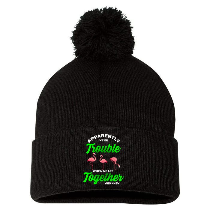Trouble Flamingo When We Are Together Who Knew Pom Pom 12in Knit Beanie
