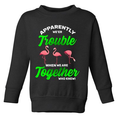 Trouble Flamingo When We Are Together Who Knew Toddler Sweatshirt