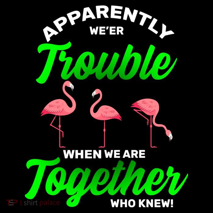 Trouble Flamingo When We Are Together Who Knew Toddler Sweatshirt