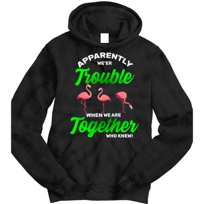 Trouble Flamingo When We Are Together Who Knew Tie Dye Hoodie