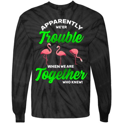 Trouble Flamingo When We Are Together Who Knew Tie-Dye Long Sleeve Shirt