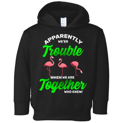Trouble Flamingo When We Are Together Who Knew Toddler Hoodie