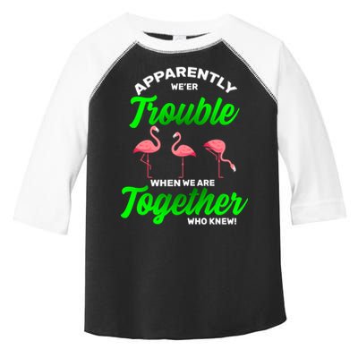 Trouble Flamingo When We Are Together Who Knew Toddler Fine Jersey T-Shirt