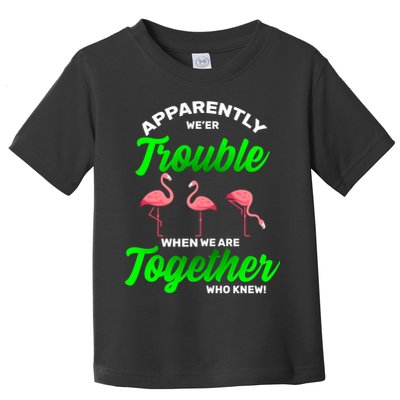 Trouble Flamingo When We Are Together Who Knew Toddler T-Shirt