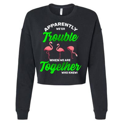 Trouble Flamingo When We Are Together Who Knew Cropped Pullover Crew