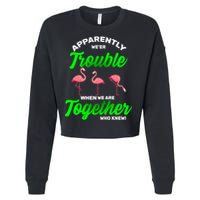 Trouble Flamingo When We Are Together Who Knew Cropped Pullover Crew