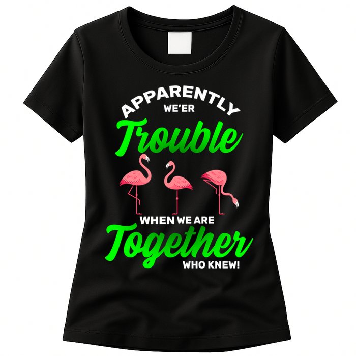 Trouble Flamingo When We Are Together Who Knew Womens T-Shirt