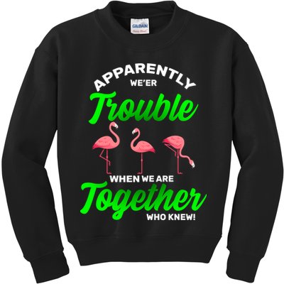 Trouble Flamingo When We Are Together Who Knew Kids Sweatshirt