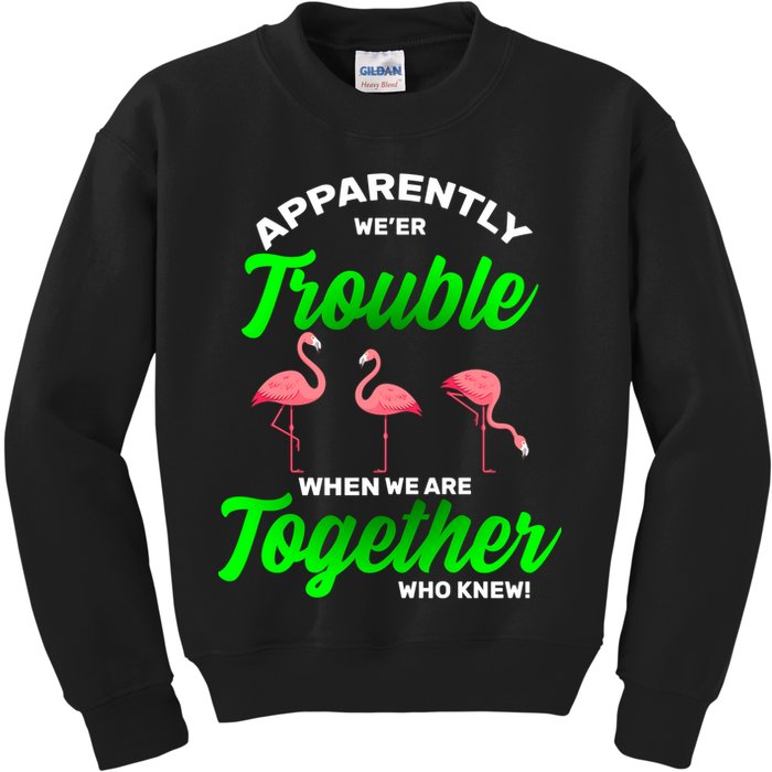 Trouble Flamingo When We Are Together Who Knew Kids Sweatshirt