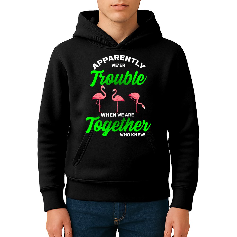 Trouble Flamingo When We Are Together Who Knew Kids Hoodie