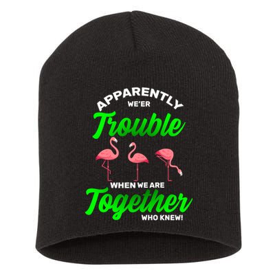 Trouble Flamingo When We Are Together Who Knew Short Acrylic Beanie
