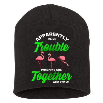 Trouble Flamingo When We Are Together Who Knew Short Acrylic Beanie