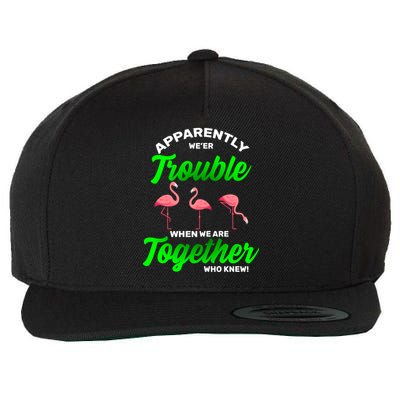 Trouble Flamingo When We Are Together Who Knew Wool Snapback Cap