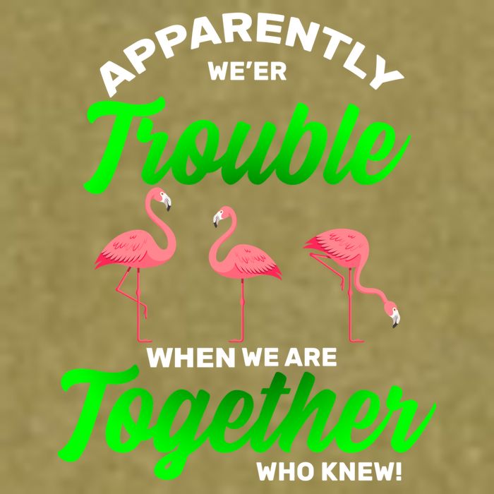 Trouble Flamingo When We Are Together Who Knew Garment-Dyed Women's Muscle Tee