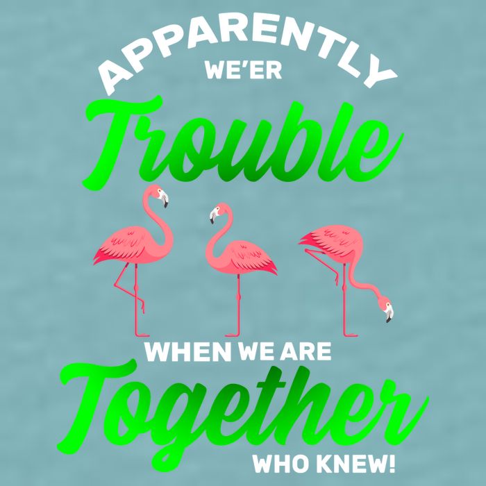 Trouble Flamingo When We Are Together Who Knew Sueded Cloud Jersey T-Shirt