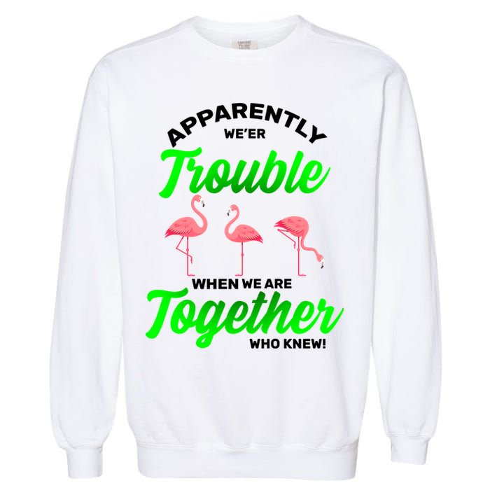 Trouble Flamingo When We Are Together Who Knew Garment-Dyed Sweatshirt