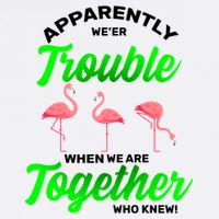 Trouble Flamingo When We Are Together Who Knew Garment-Dyed Sweatshirt