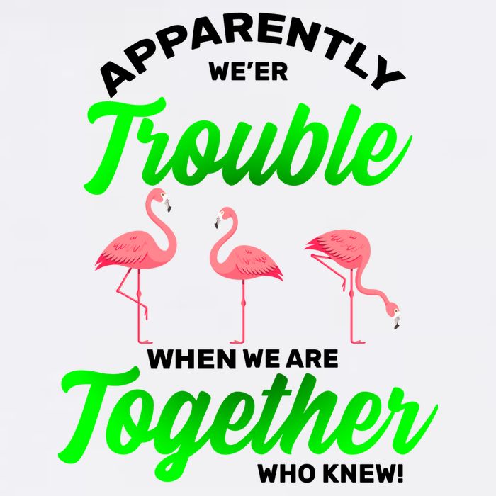 Trouble Flamingo When We Are Together Who Knew Garment-Dyed Sweatshirt