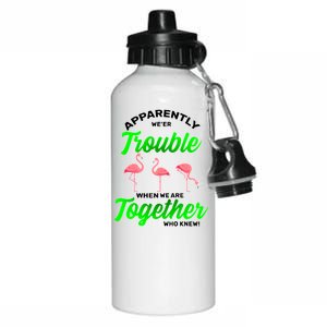 Trouble Flamingo When We Are Together Who Knew Aluminum Water Bottle