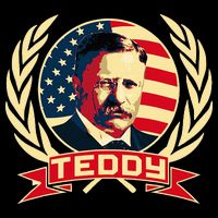Theodore Roosevelt. President Teddy. American Stars. Womens Tank Top