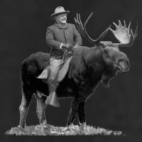 Teddy Roosevelt Riding A Bull Moose 25L Jumbo Tote